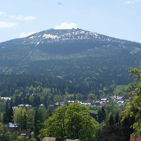 アパートホテル Bosman